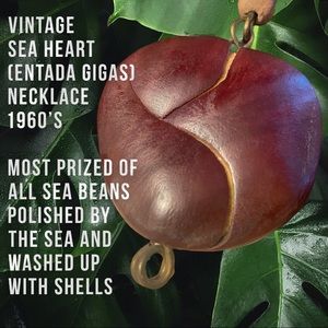 💠RARE 💠Vintage Ocean-Polished Sea Heart (Bean) Necklace from Malaysia